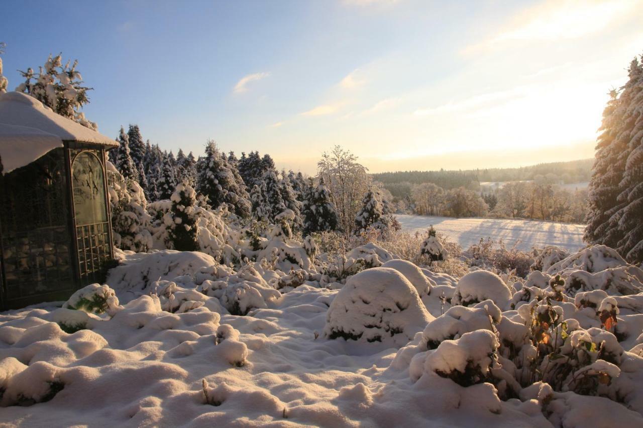 Villa Ferienhaus Sonne, Harz Und Sterne à Hohegeiß Extérieur photo