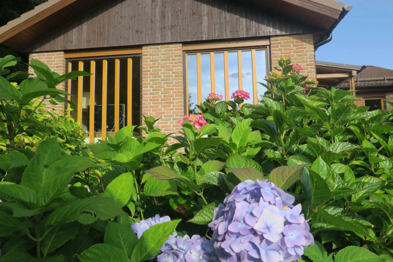 Villa Ferienhaus Sonne, Harz Und Sterne à Hohegeiß Extérieur photo